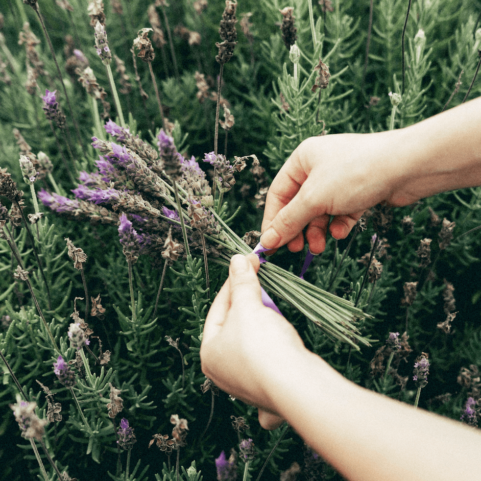 Drift Stone Collection Candle - Kip Candle Co