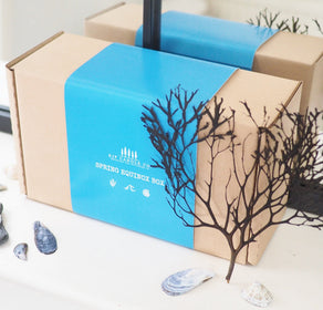 Gift Boxes - Kip Candle Co