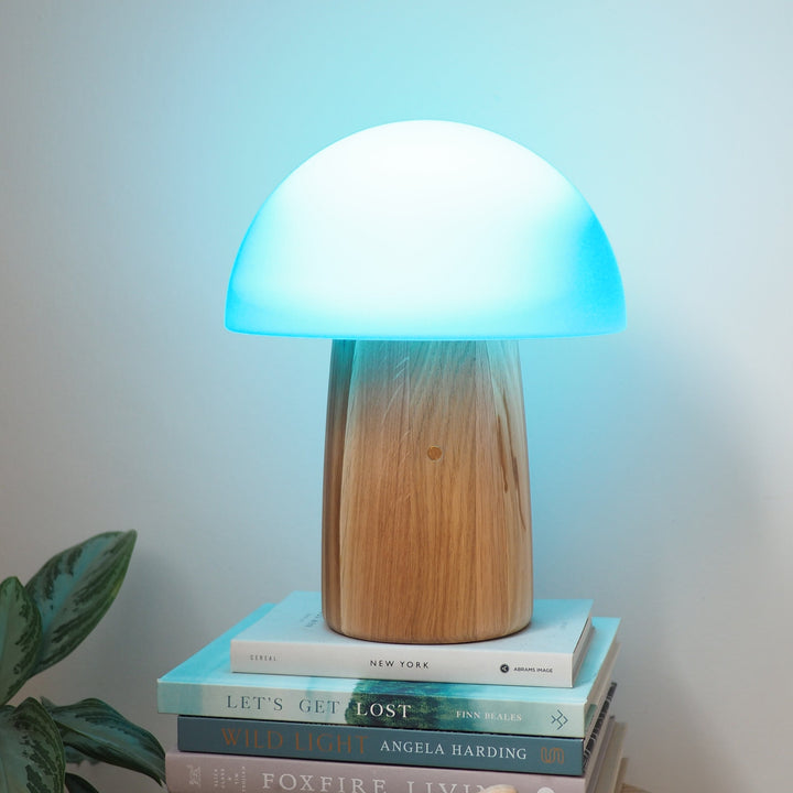 Large Alice Mushroom Lamp