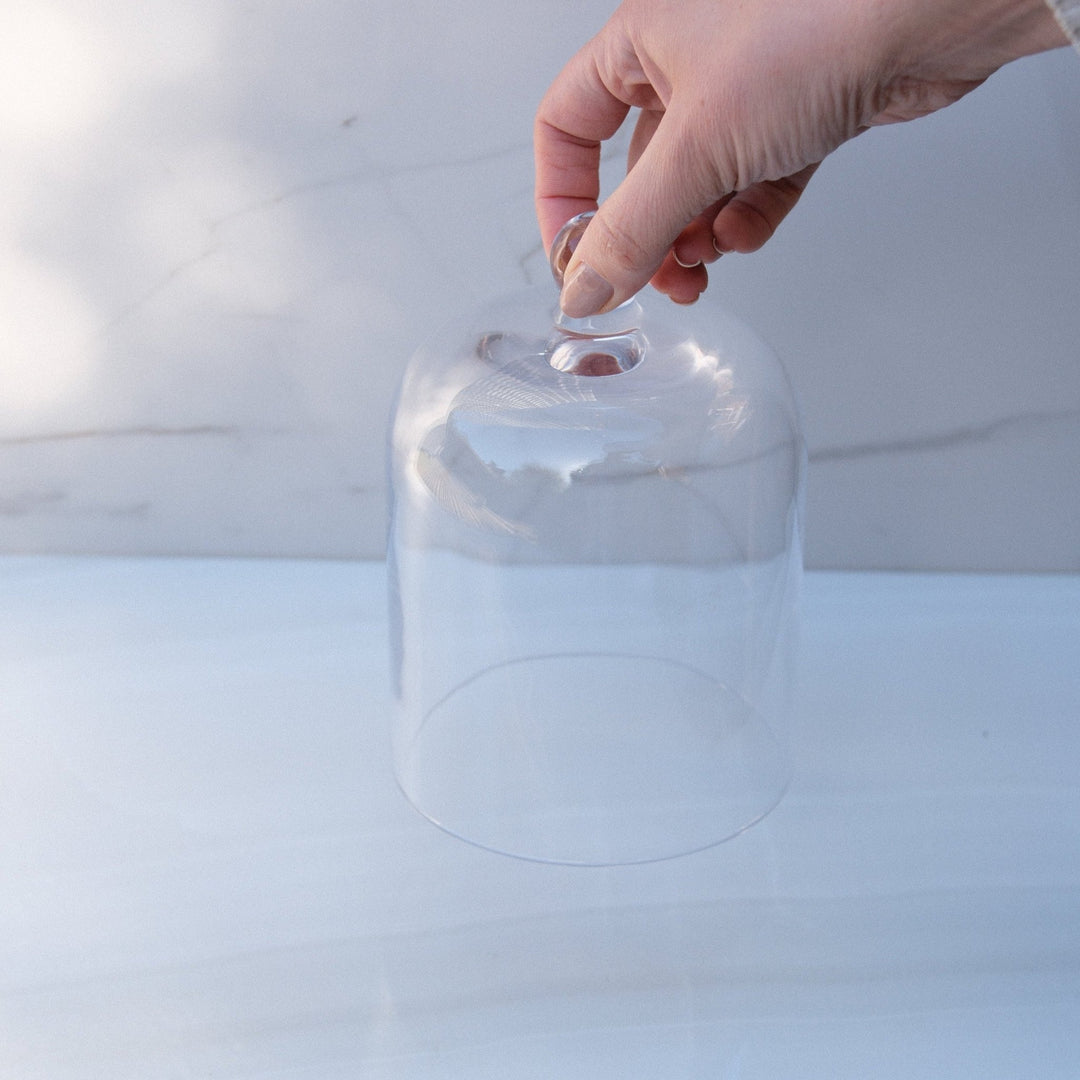 Glass Bell Jar Cloche - Kip Candle Co