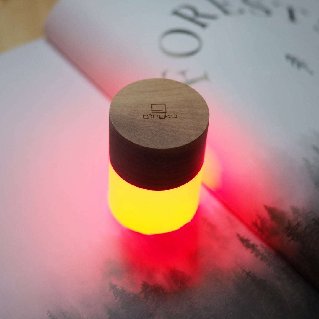 Mini Lemelia Touch Lamp - Kip Candle Co