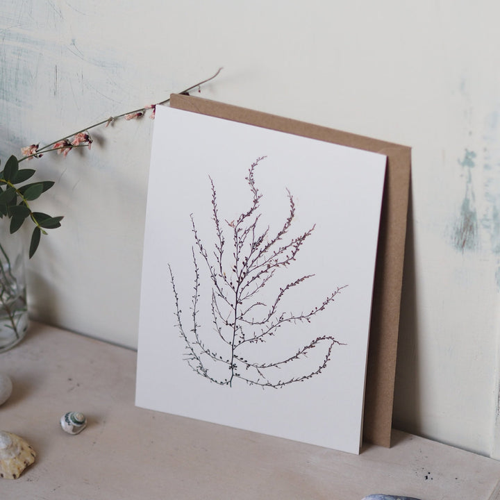 Molesworth and Bird Greetings Cards - Kip Candle Co