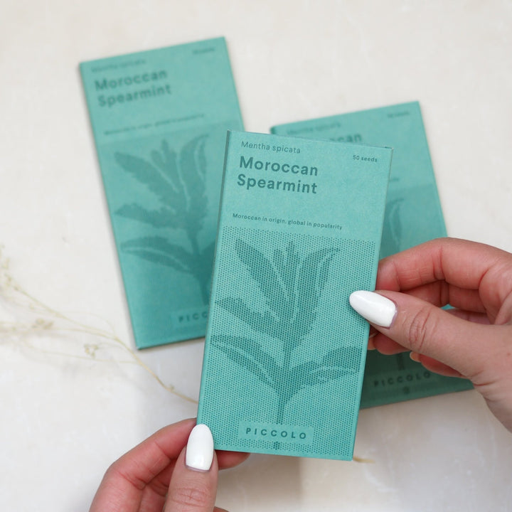 Moroccan Spearmint - Kip Candle Co