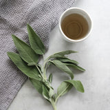 Namasté Wax Leaf Melts - Green Tea, Fig & Lily - Kip Candle Co