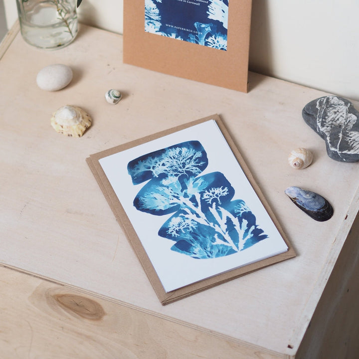 Paperbirch British Seaweed Postcard Pack - Kip Candle Co