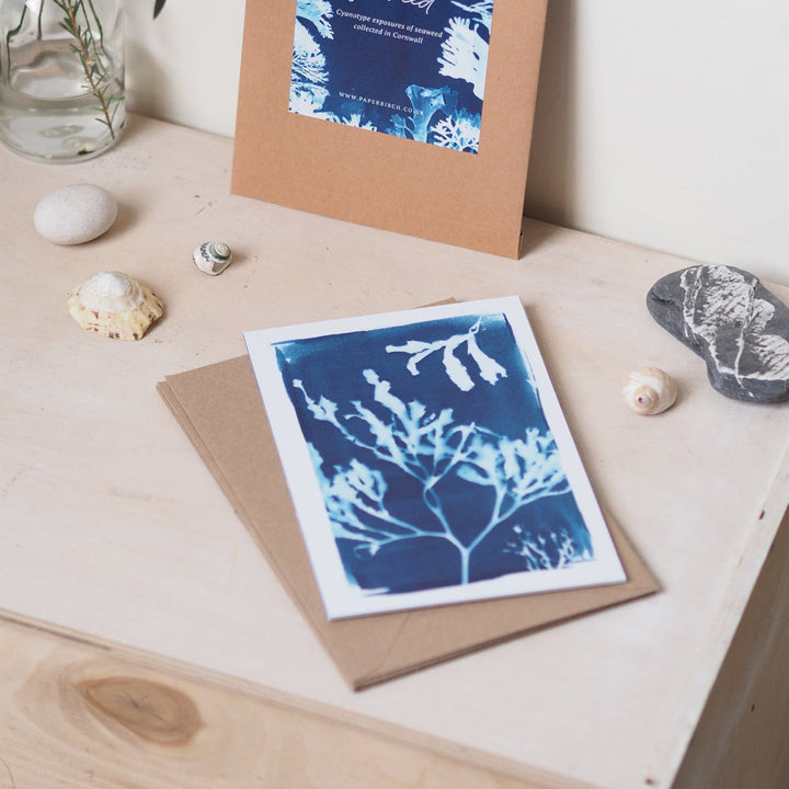 Paperbirch British Seaweed Postcard Pack - Kip Candle Co