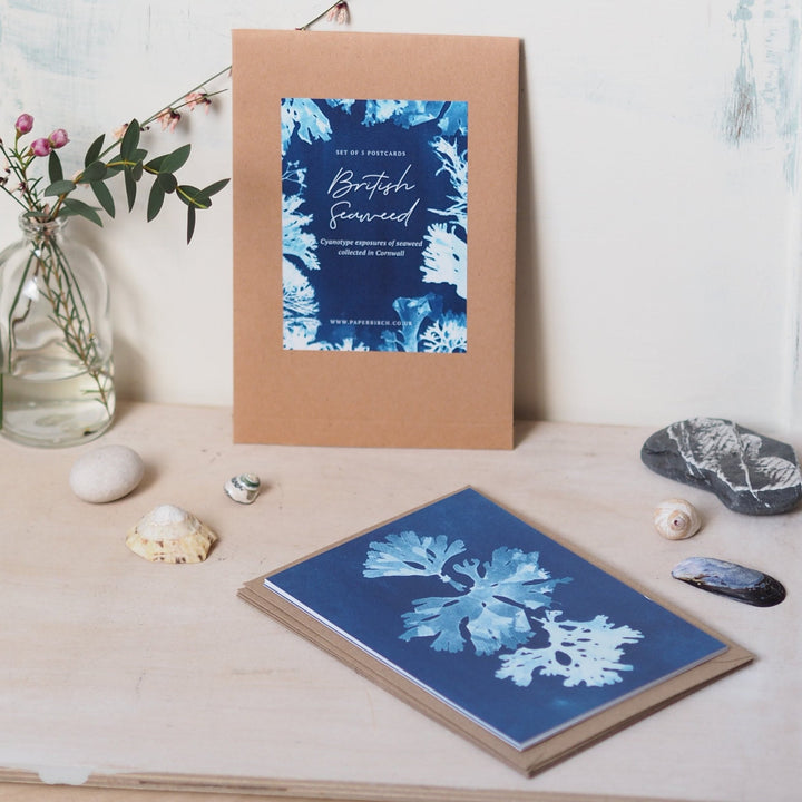 Paperbirch British Seaweed Postcard Pack - Kip Candle Co