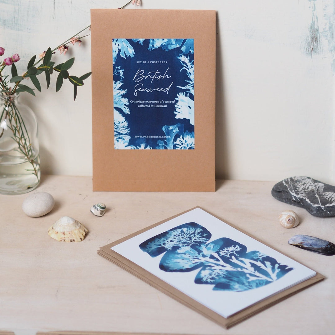 Paperbirch British Seaweed Postcard Pack - Kip Candle Co