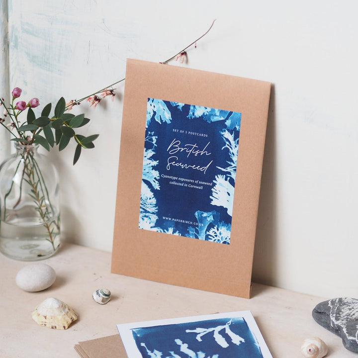 Paperbirch British Seaweed Postcard Pack - Kip Candle Co