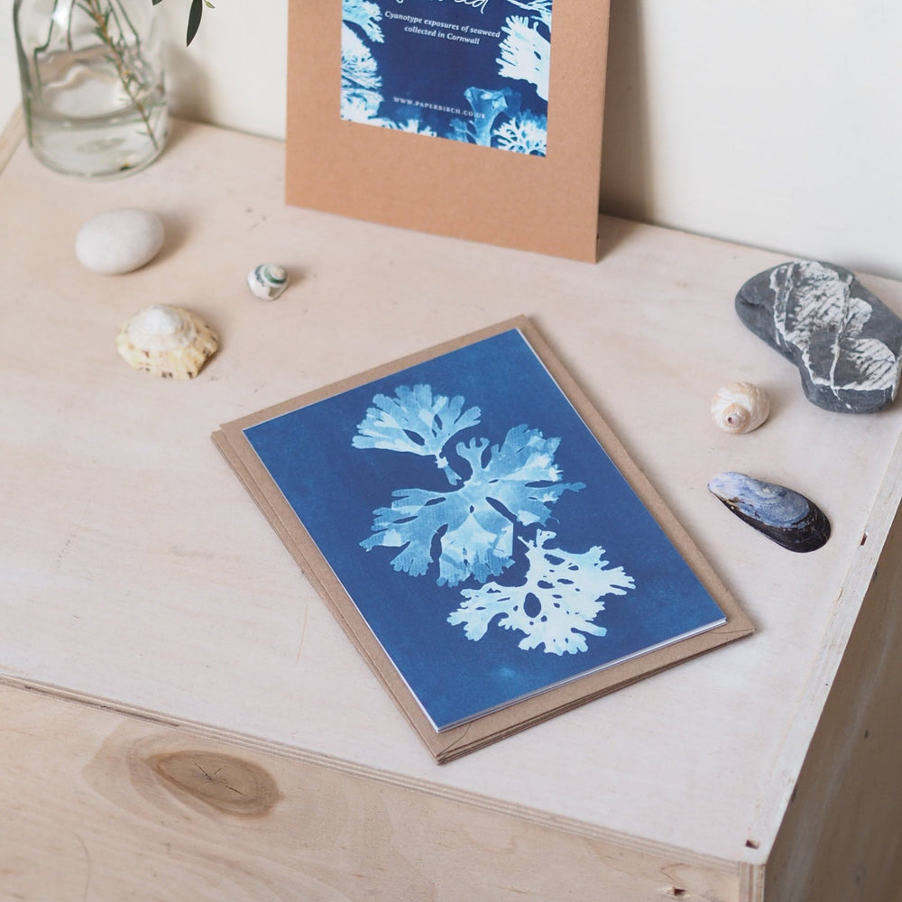 Paperbirch British Seaweed Postcard Pack - Kip Candle Co