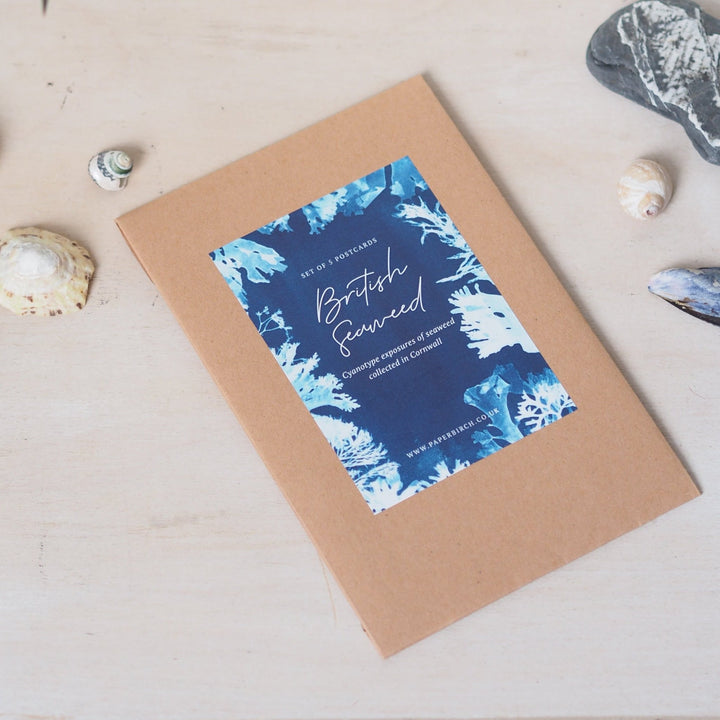 Paperbirch British Seaweed Postcard Pack - Kip Candle Co
