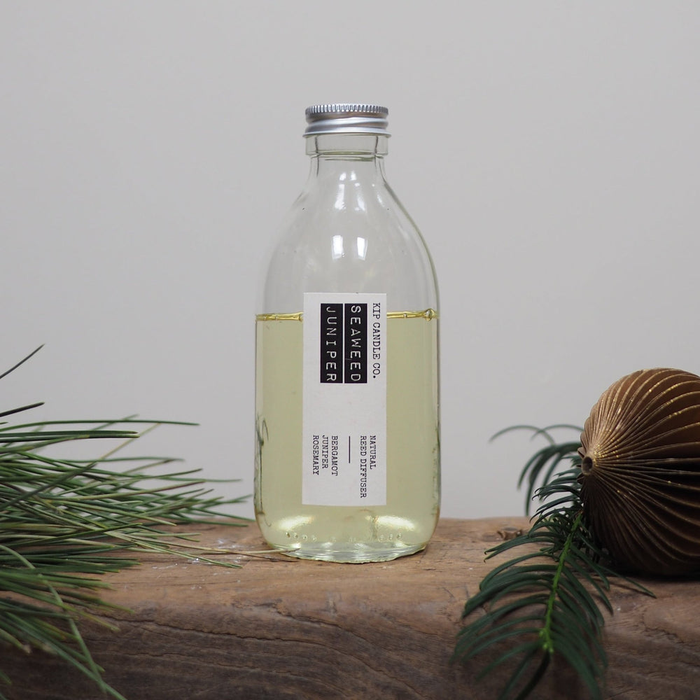 Seaweed Juniper Reed Diffuser Kit - Kip Candle Co