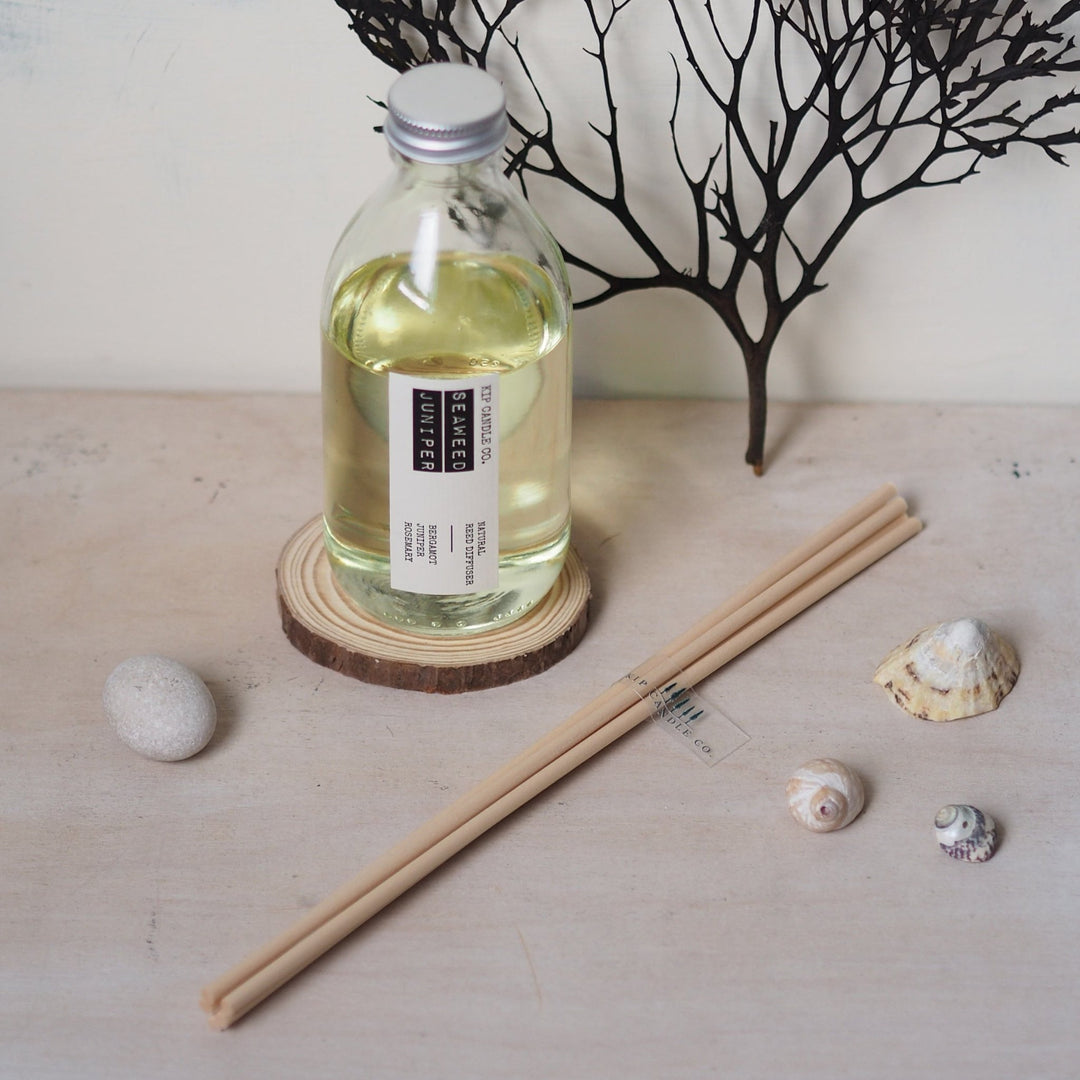 Seaweed Juniper Reed Diffuser Kit - Kip Candle Co