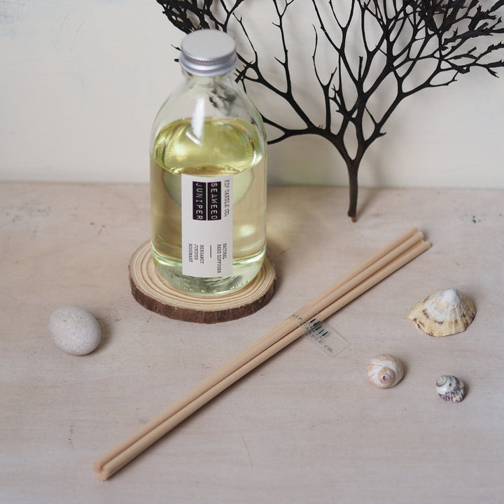 Seaweed Juniper Reed Diffuser Kit - Kip Candle Co