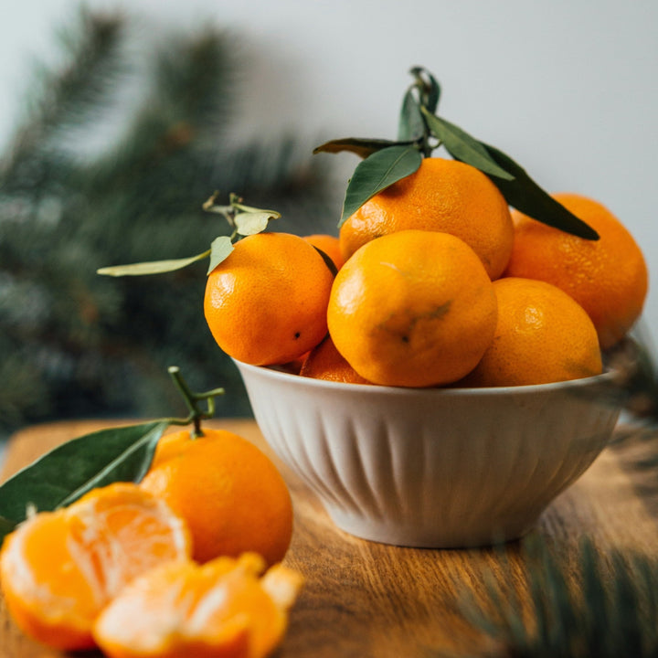 Spiced Orange Refillable Candle - Kip Candle Co