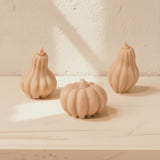 Spiced Pumpkin Soaps - Kip Candle Co