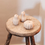 Spiced Pumpkin Soaps - Kip Candle Co