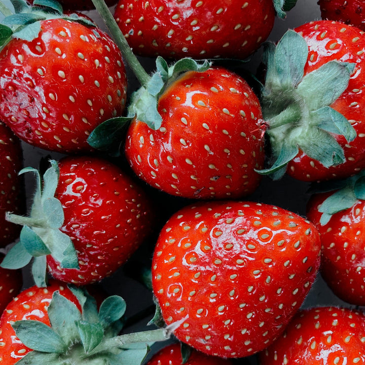 Strawberry Parsley Travel Candle - Wild Strawberry, Parsley & Thyme - Kip Candle Co